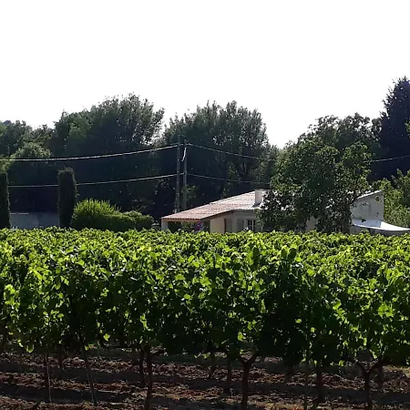 La Petite Maison Dans Les Vignes *
