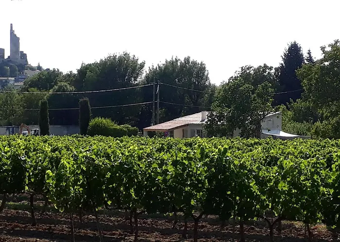 La Petite Maison Dans Les Vignes *