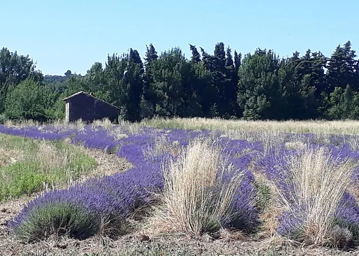 La Petite Maison Dans Les Vignes * Chamaret
