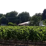 La Petite Maison Dans Les Vignes *