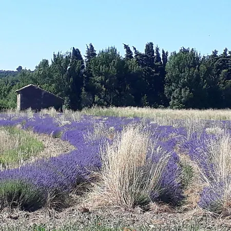 La Petite Maison Dans Les Vignes * Chamaret
